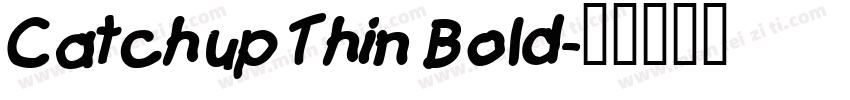 Catchup Thin Bold字体转换
